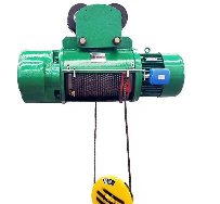 Wire rope electric hoist
